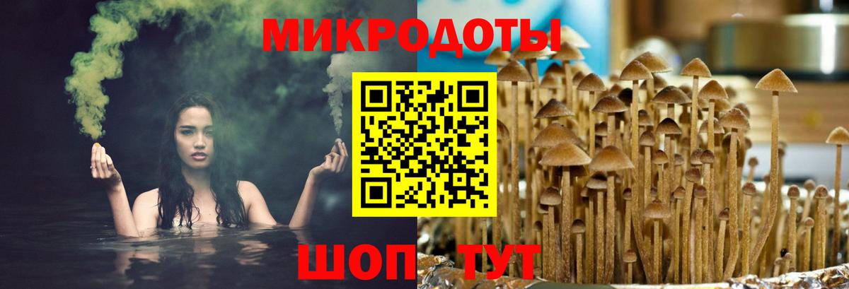 Псилоцибиновые грибы мицелий  где купить наркотик  Вход с VPN  Зеленогорск  Галлюциногенные грибы мухоморы 